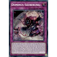 Dominus-S&auml;uberung MP25-DE095