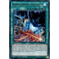 Wiederaufflammen der in Asche Gelegten MP25-DE205