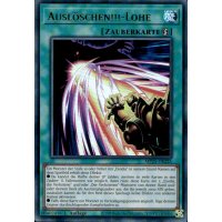 Ausl&ouml;schen!!!-Lohe MP25-DE225