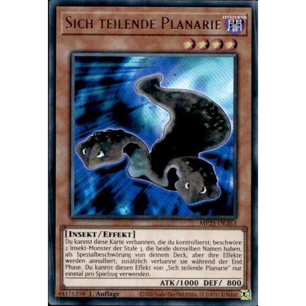 Sich teilende Planarie MP25-DE263