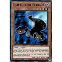 Sich teilende Planarie MP25-DE263