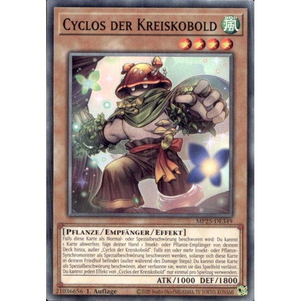 Cyclos der Kreiskobold MP25-DE349