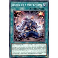 L&ouml;schen der in Asche Gelegten MP25-DE375