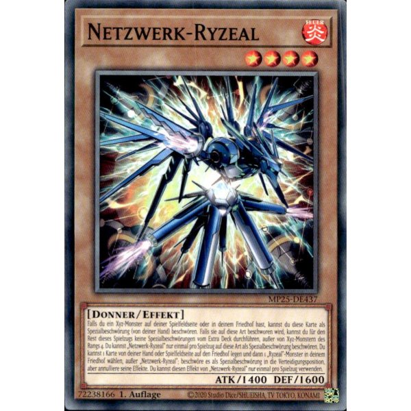 Netzwerk-Ryzeal MP25-DE437