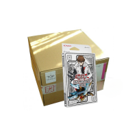 Mega Pack Bundle 2025 *SEALED CASE* (12x Tuckbox) (englisch)