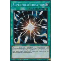 Superpolymerisation  BLMR-089