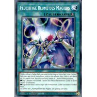 Fl&uuml;chtige Blume des Magiers DOOD-DE089