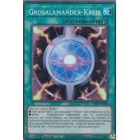 Grosalamander-Kreis RA03-066