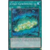 Cynet-Gewinnung RA03-067