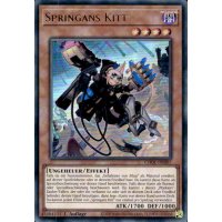 Springans Kitt CH01-DE007