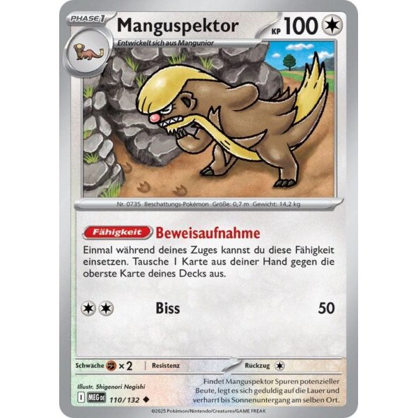 Manguspektor 110/132