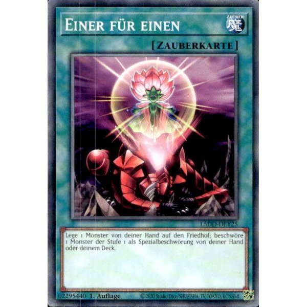 Einer f&uuml;r einen L5DD-DEY25