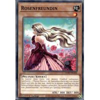 Rosenfreundin L5DD-DEA04