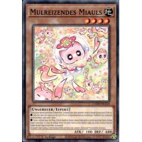 Mulreizendes Miauls L5DD-DEA14
