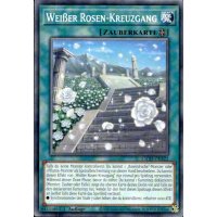 Wei&szlig;er Rosen-Kreuzgang L5DD-DEA22