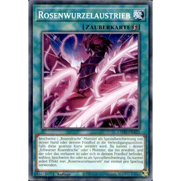 Rosenwurzelaustrieb L5DD-DEA23