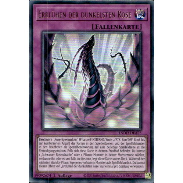 Erbl&uuml;hen der dunkelsten Rose L5DD-DEA25