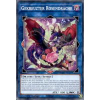 Gekreuzter Rosendrache L5DD-DEA30