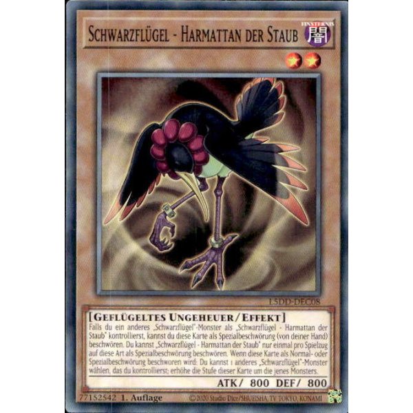 Schwarzfl&uuml;gel - Harmattan der Staub L5DD-DEC08