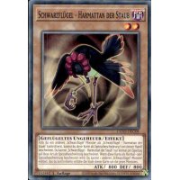 Schwarzflügel - Harmattan der Staub L5DD-DEC08