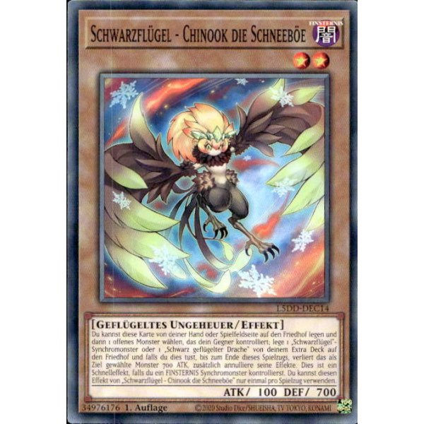 Schwarzfl&uuml;gel - Chinook die Schneeb&ouml;e L5DD-DEC14