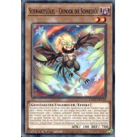 Schwarzflügel - Chinook die Schneeböe L5DD-DEC14