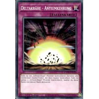 Deltakr&auml;he - Antiumkehrung L5DD-DEC24