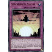 Schwarzvogel-Abschluss L5DD-DEC25