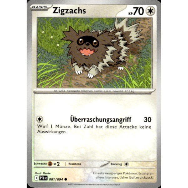Zigzachs 081/094