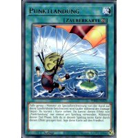 Punktlandung PHRE-DE029