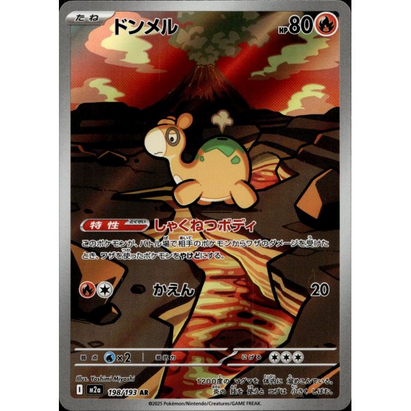 Camaub 198/193 (japanisch)