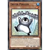 Erster Pinguin BPRO-DE030