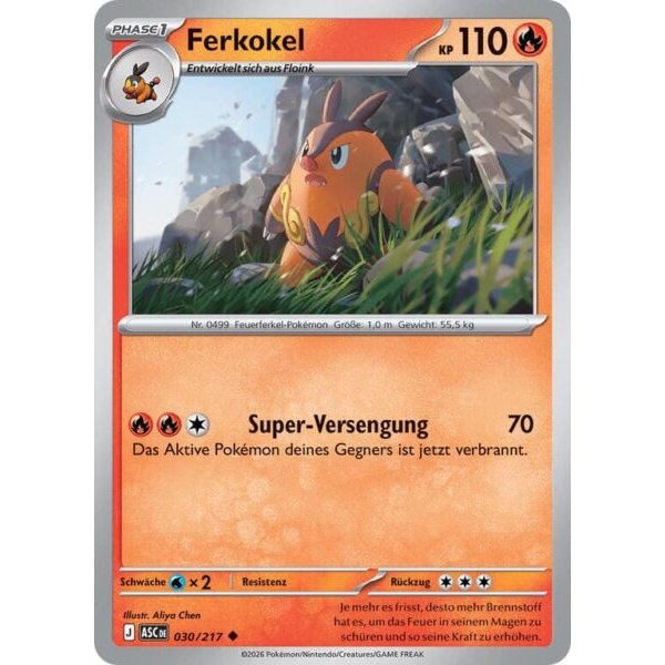 Ferkokel 030/217