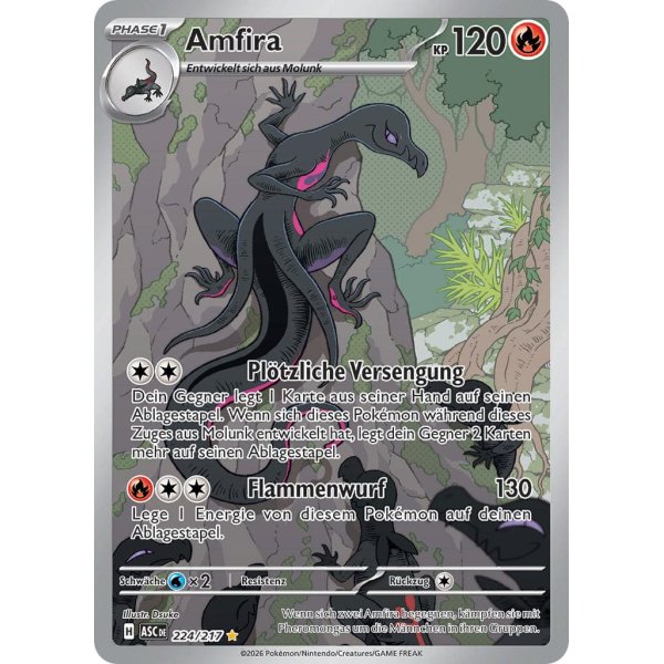 Amfira 224/217
