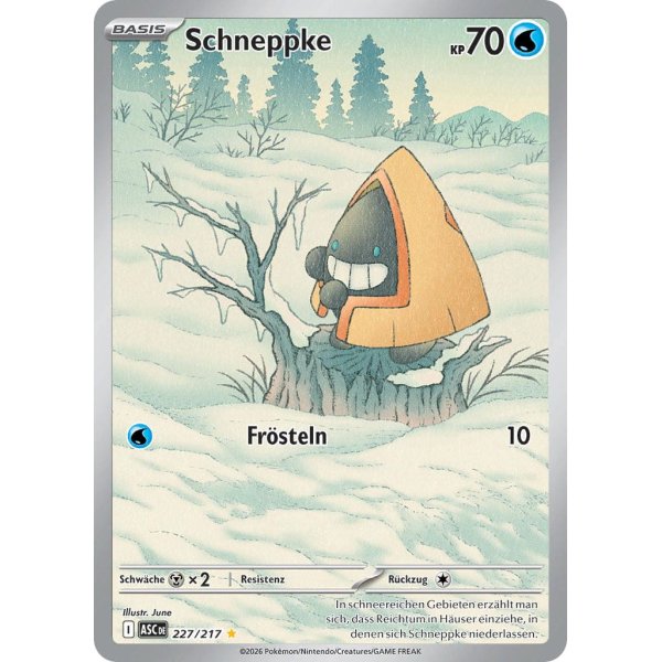 Schneppke 227/217
