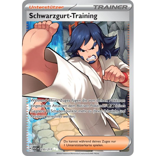 Schwarzgurt-Training 255/217