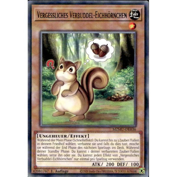 Vergessliches Verbuddel-Eichh&ouml;rnchen MZMU-DE036