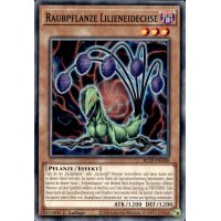 Raubpflanze Lilieneidechse BLZD-DE008