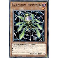 Raubpflanze Longinephila BLZD-DE009
