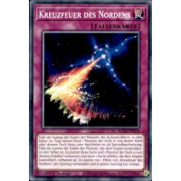 Kreuzfeuer des Nordens BLZD-DE076