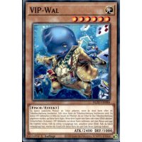 VIP-Wal BLZD-DE084