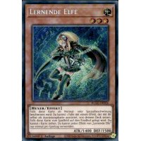 Lernende Elfe BLGG-DE026