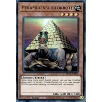 Pyramidenschildkröte BLGG-DE053