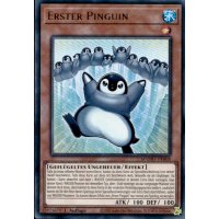 Erster Pinguin MAMO-DE068