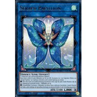 Seraph Papillion MAMO-DE087