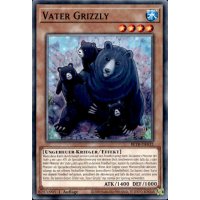Vater Grizzly BETB-DE032