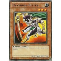 Hayabusa-Ritter