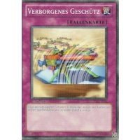 Verborgenes Gesch&uuml;tz 5DS3-DE034
