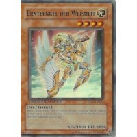 Ernteengel der Weisheit CSOC-DESE1