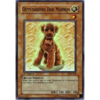 Outstanding Dog Marron DCR-062